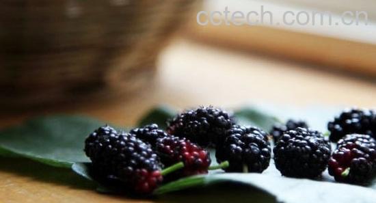 果蔬百科桑葚的作用有哪些 吃桑葚有什么好处-0