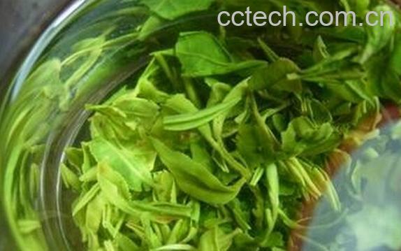果蔬百科喝龙井茶的好处-0