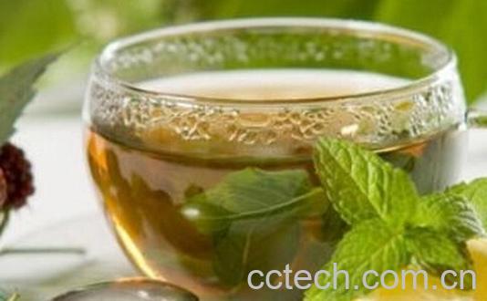 果蔬百科冬瓜皮荷叶茶-0