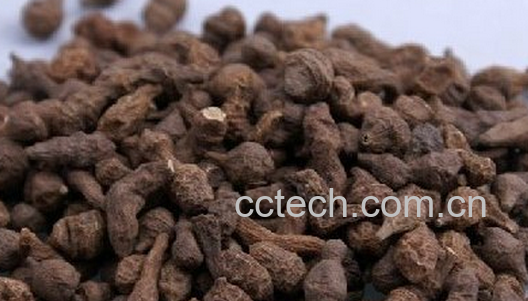 果蔬百科干人参果怎么吃-0