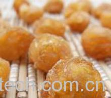 果蔬百科怎样分辨干桂圆的好坏-0