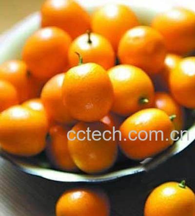 果蔬百科腌柑橘的方法技巧-0