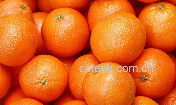 果蔬百科秋天吃桔子的好处有哪些-0