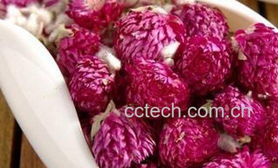 果蔬百科千日红花茶-0