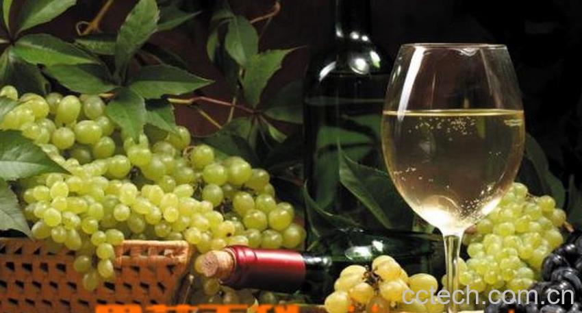 果蔬百科自制葡萄酒的危害-0
