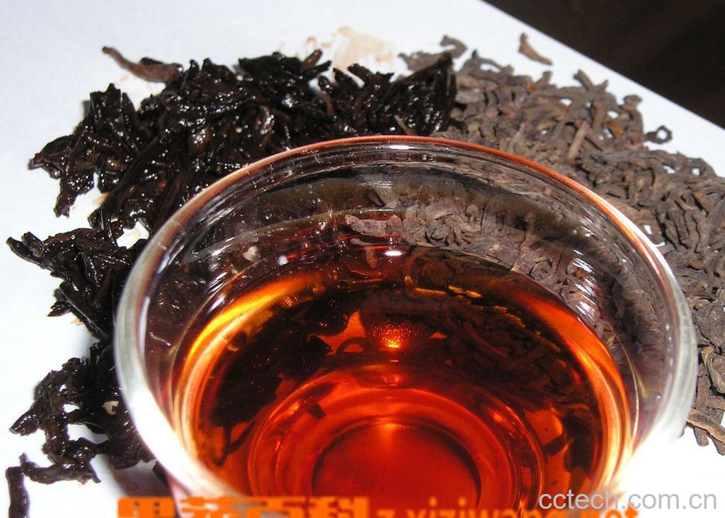 果蔬百科在办公室怎么喝普洱茶 -0