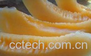 果蔬百科黄河蜜的功效与作用-0