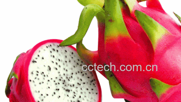 果蔬百科吃火龙果要注意什么-0