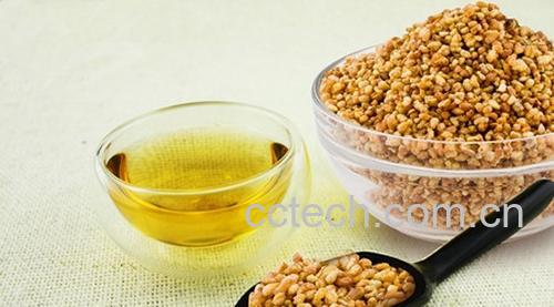 果蔬百科苦荞茶怎么喝减肥-0