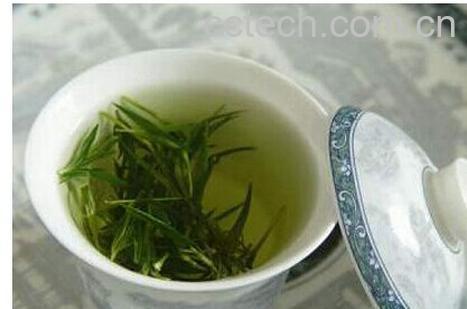 果蔬百科绿茶-0