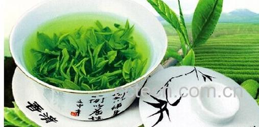 果蔬百科绿茶-0