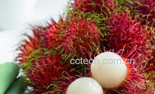 果蔬百科红毛丹的营养价值与功效-0