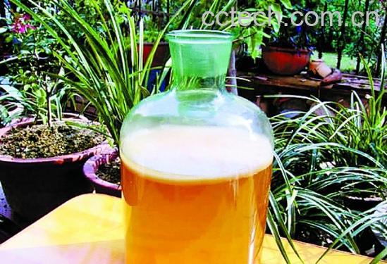 果蔬百科红茶菌怎么养 红茶菌的制作方法-0