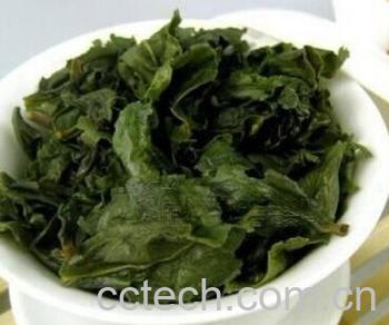 果蔬百科铁观音-0