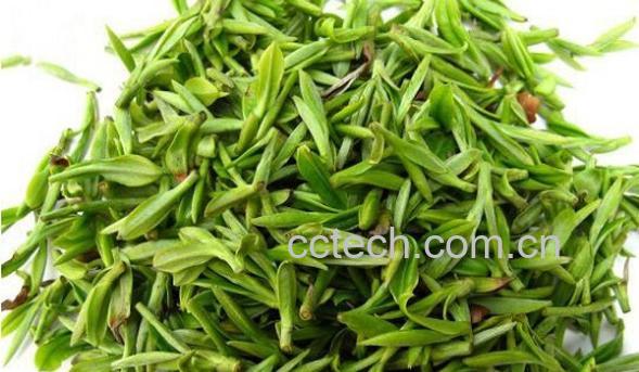 果蔬百科绿茶-0