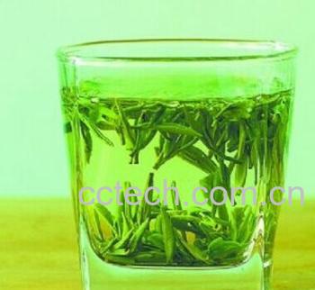 果蔬百科绿茶-0