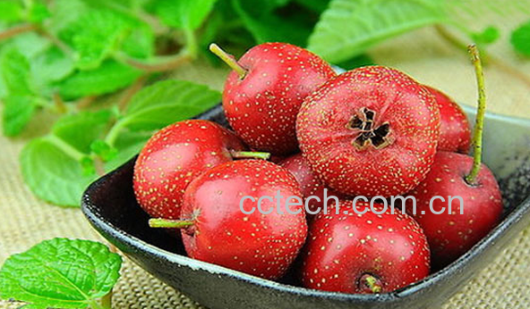 果蔬百科山楂不能和什么一起吃-0