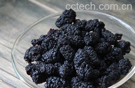 果蔬百科桑葚干的功效与作用-0