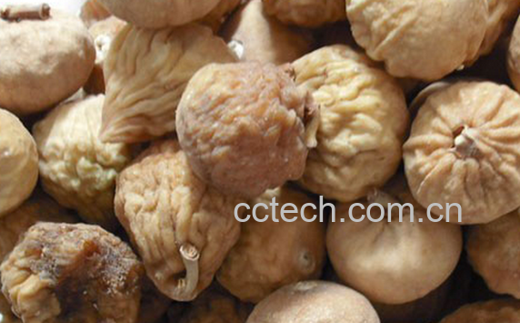 果蔬百科无花果干的功效与作用-0