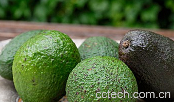 果蔬百科吃牛油果的好处-0