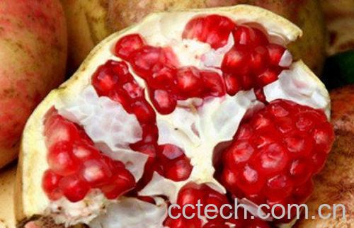 果蔬百科石榴皮的煮法 煮石榴皮的好处-0