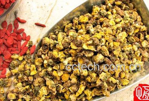 果蔬百科喝菊花茶有什么好处-0