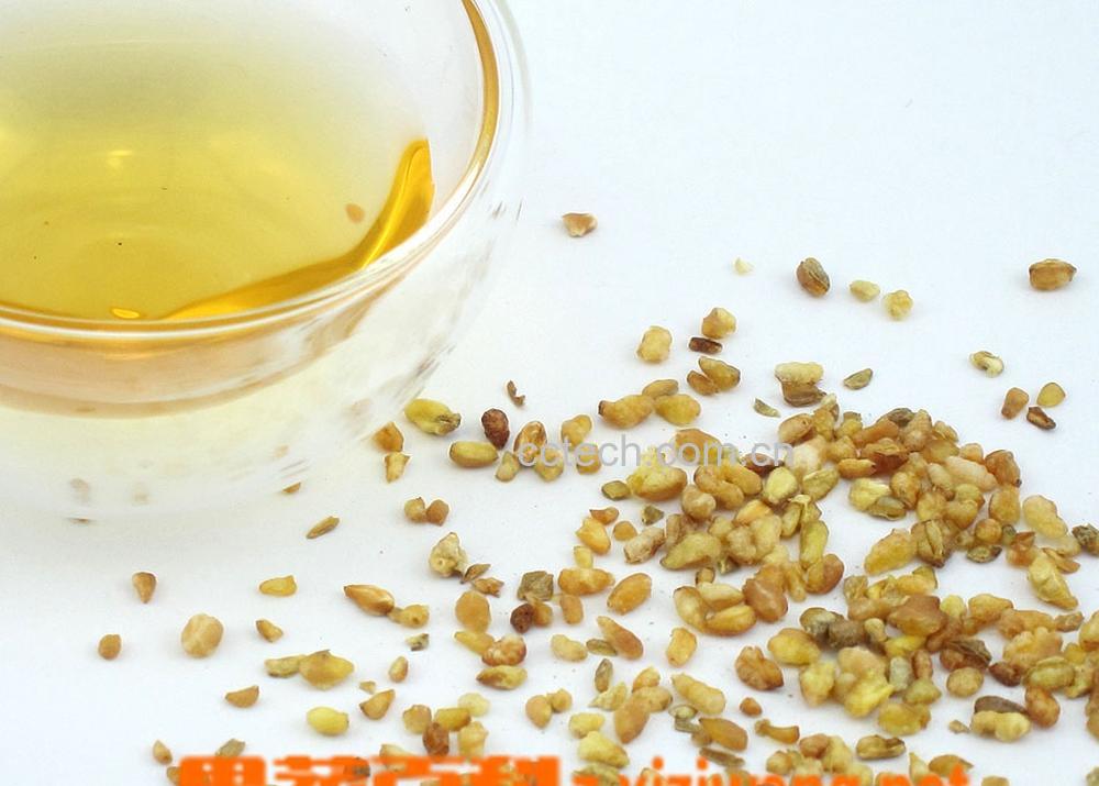 果蔬百科苦荞茶的功效与作用-0