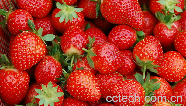 果蔬百科吃草莓要注意什么-0