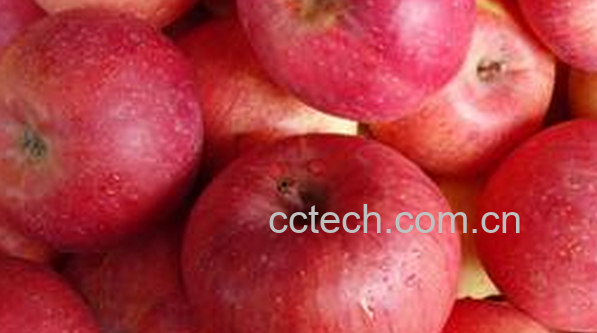 果蔬百科吃苹果要注意什么-0