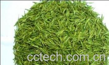 果蔬百科安吉白茶-0