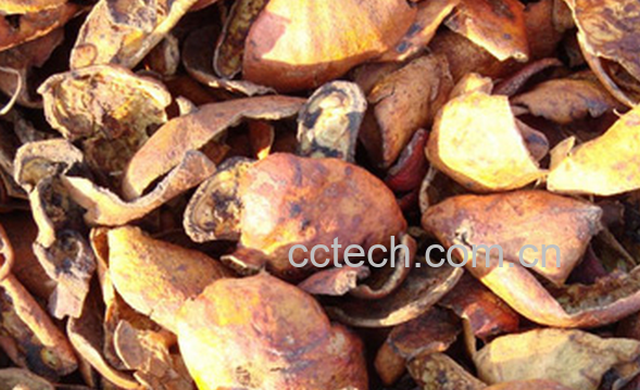 果蔬百科石榴皮的药用价值与功效-0