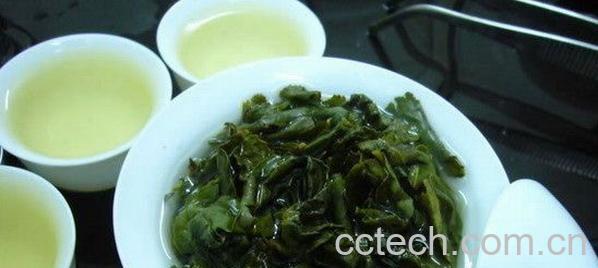 果蔬百科铁观音-0