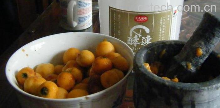 果蔬百科怎样做枇杷酵素-0