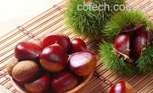 果蔬百科栗子和什么不能一起吃 -0