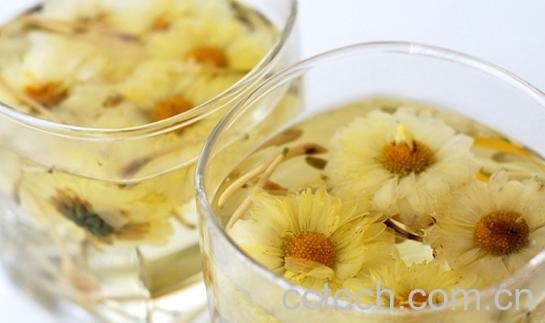 果蔬百科喝菊花茶的好处和坏处-0