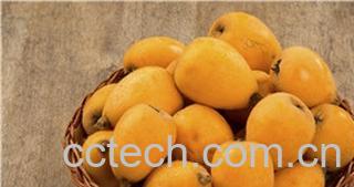 果蔬百科坐月子可以吃枇杷吗-0