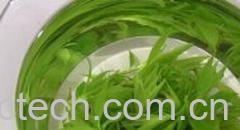 果蔬百科青山绿水茶-0