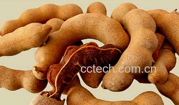 果蔬百科酸角怎么吃-0