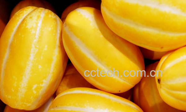 果蔬百科香瓜的营养价值与功效-0