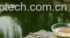 果蔬百科白茶-0