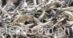 果蔬百科月光白茶-0