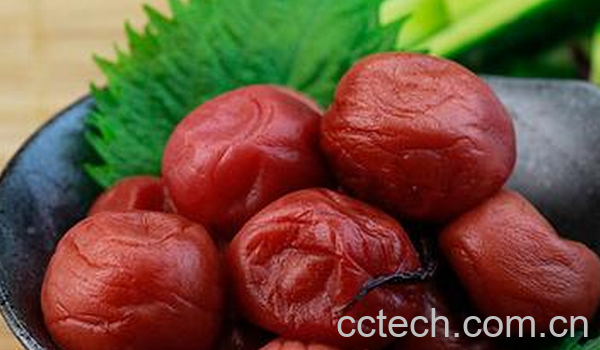 果蔬百科腌李子的做法-0