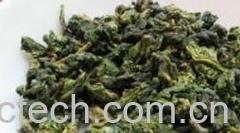 果蔬百科铁观音-0