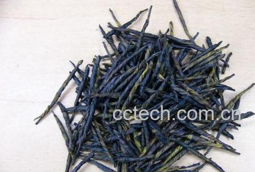 果蔬百科苦丁茶的功效-0