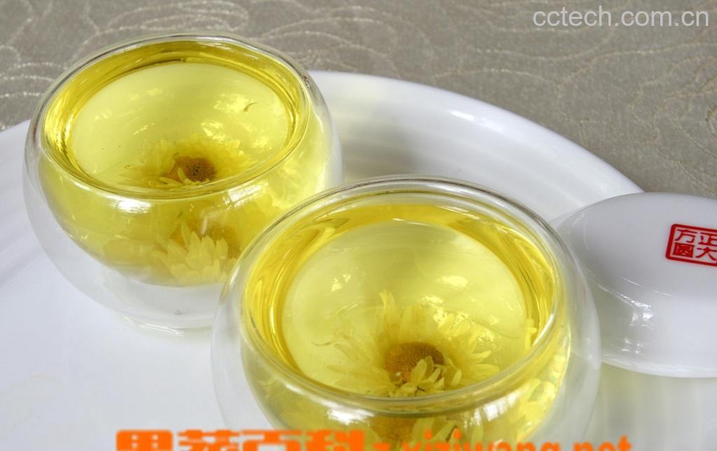 果蔬百科菊花茶-0