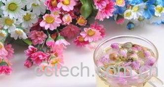 果蔬百科玫瑰花茶的功效与禁忌-0