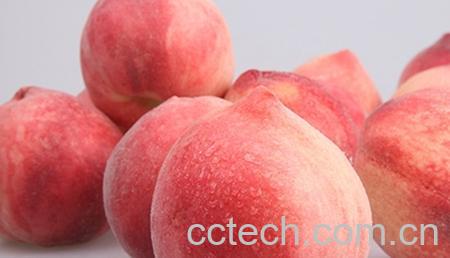 果蔬百科孕妇可以吃桃子吗-0