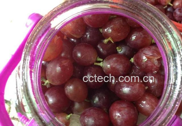 果蔬百科怎样用绿提子制作酒-0