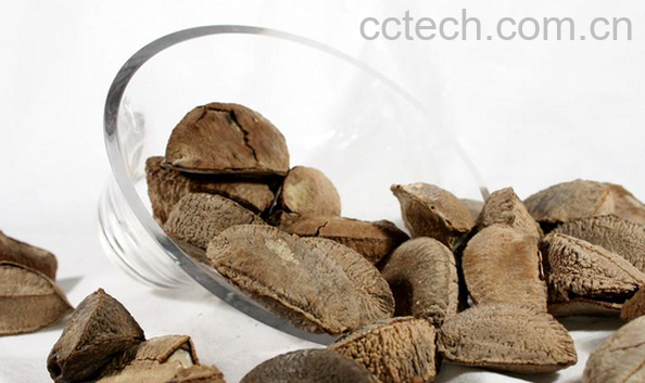 果蔬百科鲍鱼果的功效与作用-0