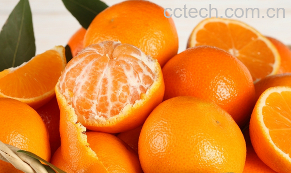 果蔬百科吃桔子要注意些什么-0